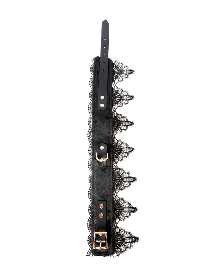 HonourSkintwocom Anal Velvet Collar with Black Lace and Leash