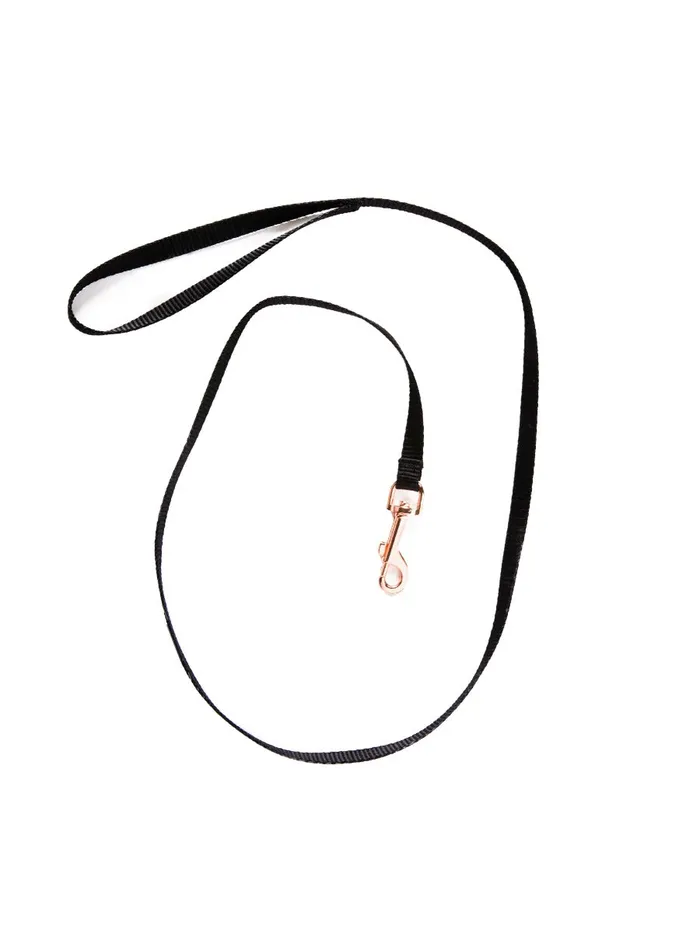 HonourSkintwocom Anal Velvet Collar with Black Lace and Leash